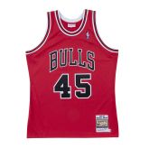 Mitchell & Ness NBA Chicago Bulls Michael Jordan 1994-95 Authentic Jersey - Punainen - Jersey